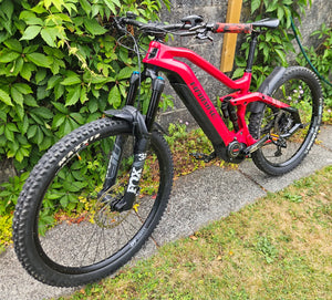 Haibike Allmtn Cf 12 2022