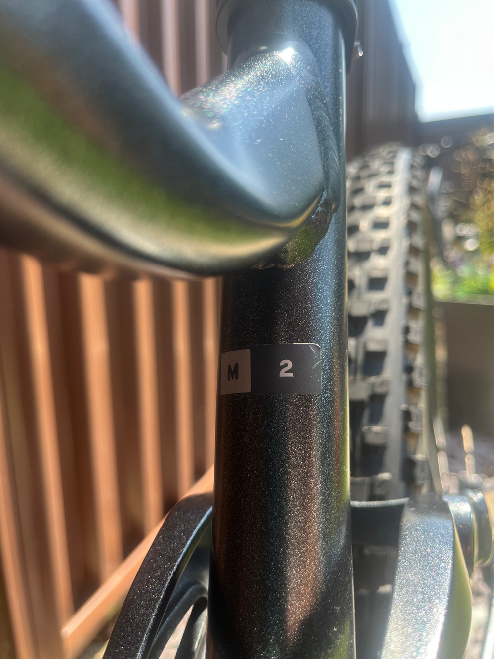 Giant Stance 29 2 2024