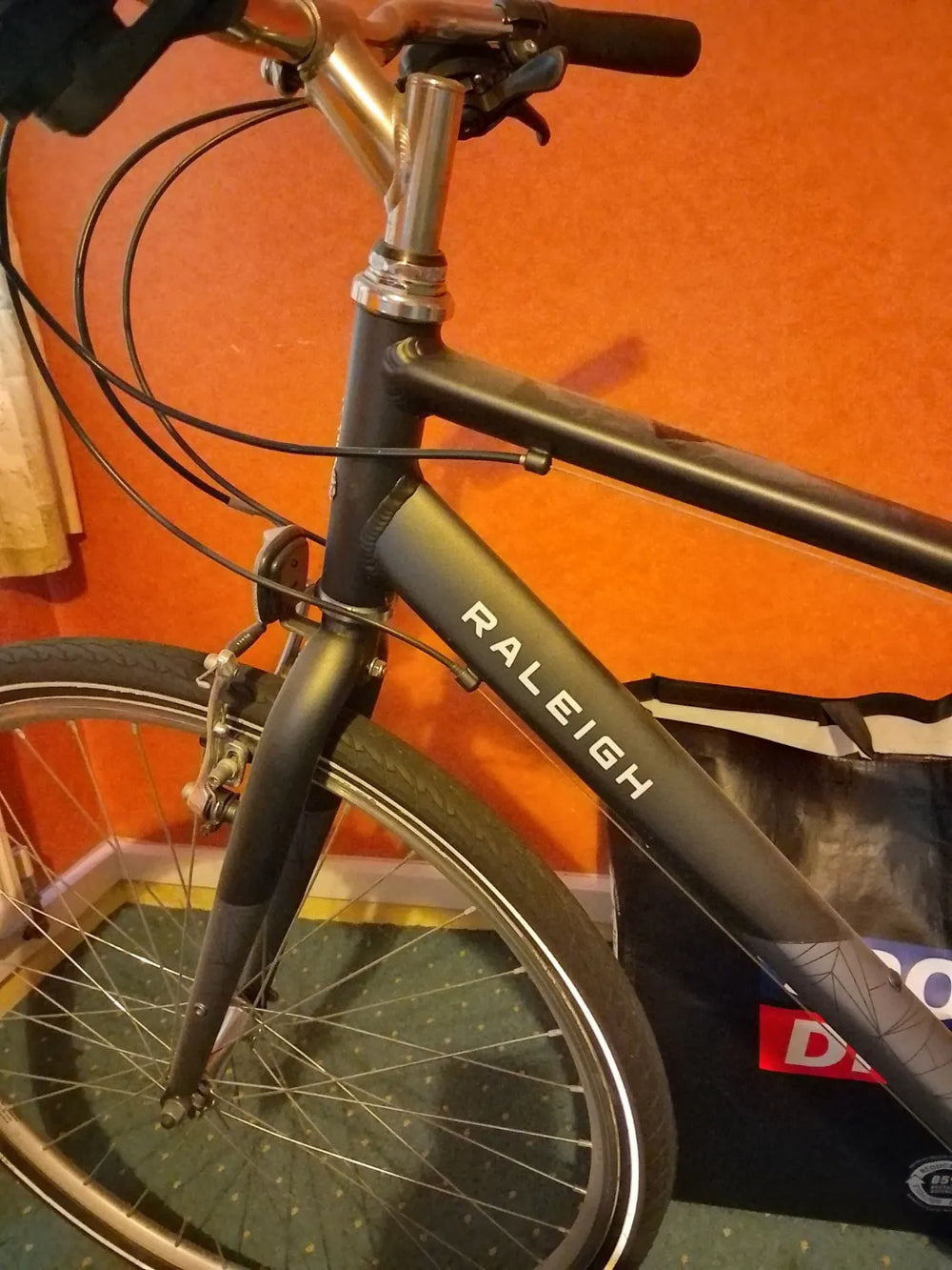 Raligh Pioneer  2024