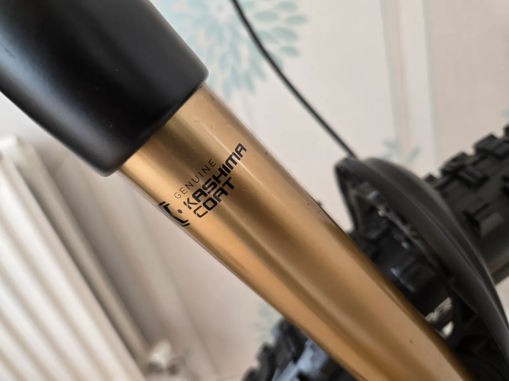 Canyon Canyon Spectral:ONfly CF LTD 2025