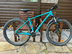Specialized Rockhopper 2020