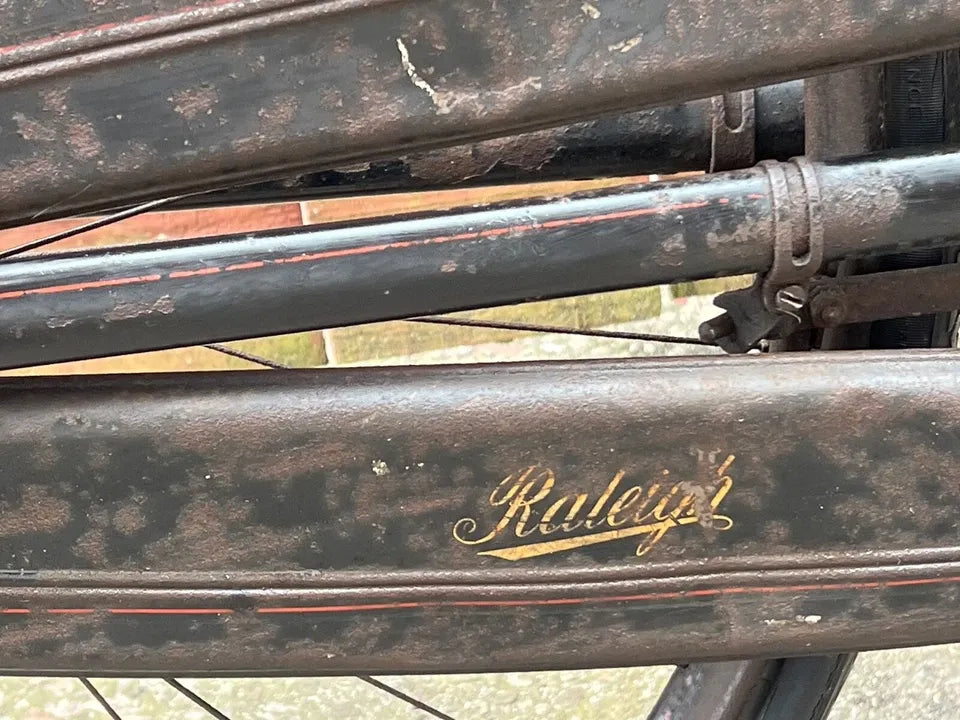Raleigh Special 2017