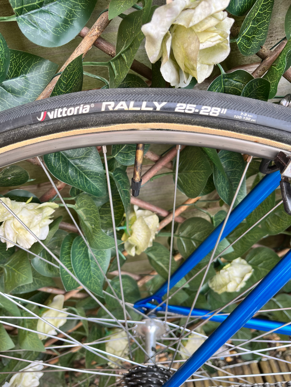 Colnago Super profil 1981