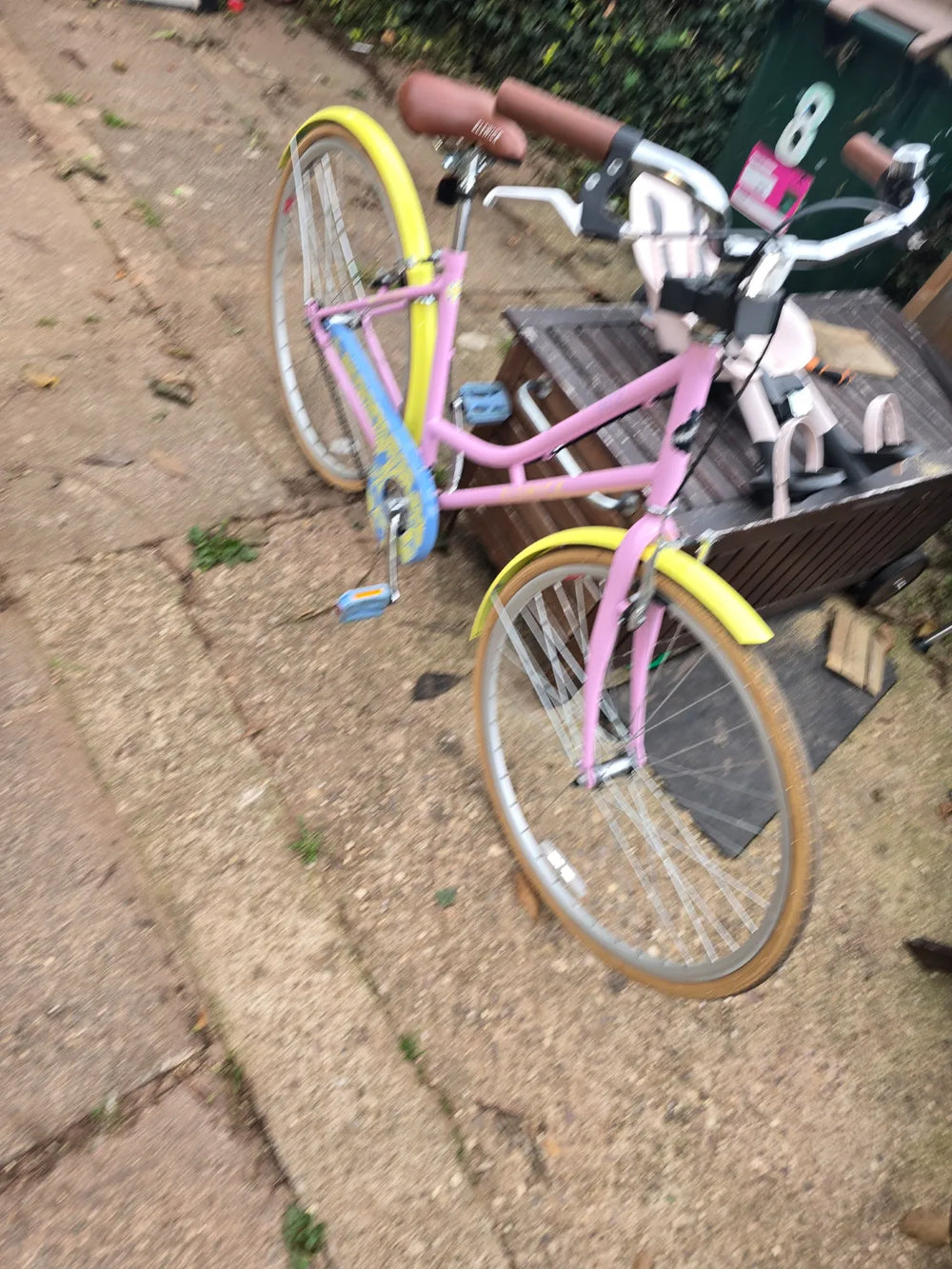 Elswick Dutch ritz 2020