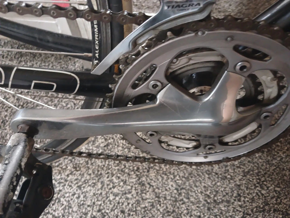 Giant Scr1.5 2020