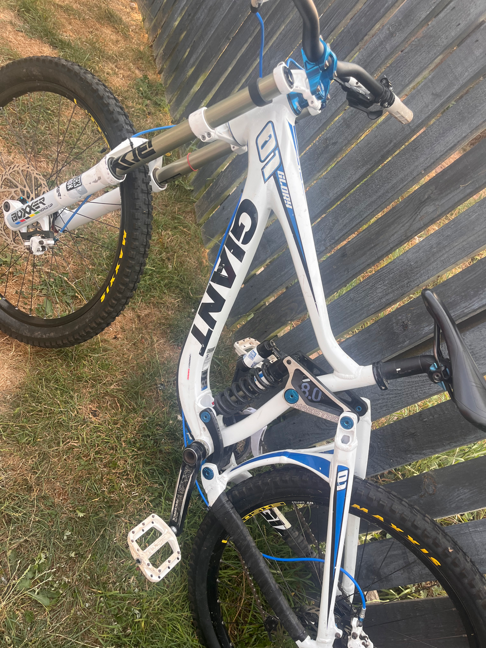 Giant Glory Advanced Downhill 2024