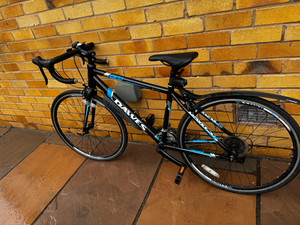 Dawes Giro 300 2014
