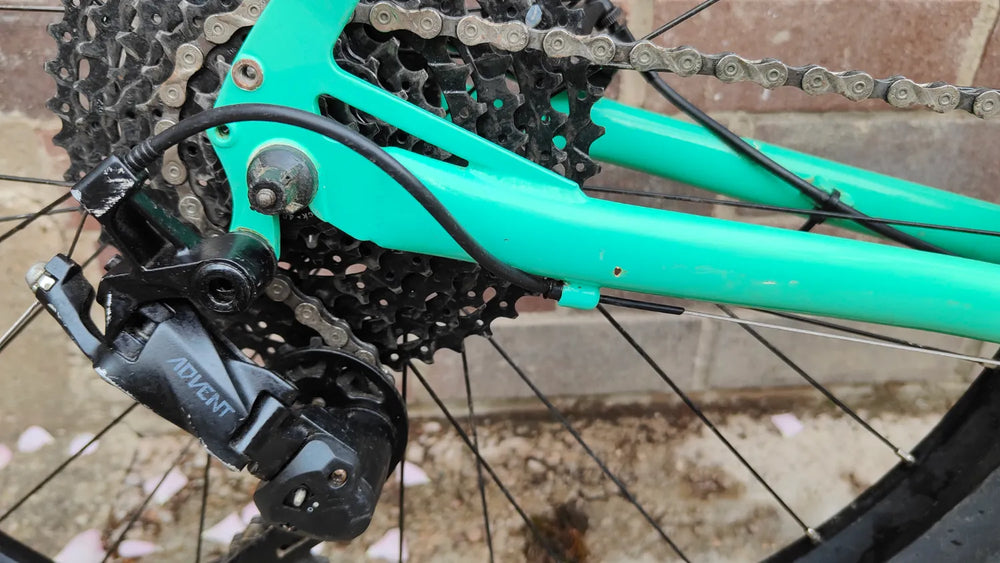Marin Nicasio + 650b 2025