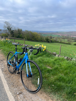 Cannondale Synapse 105 5 Disc 2019