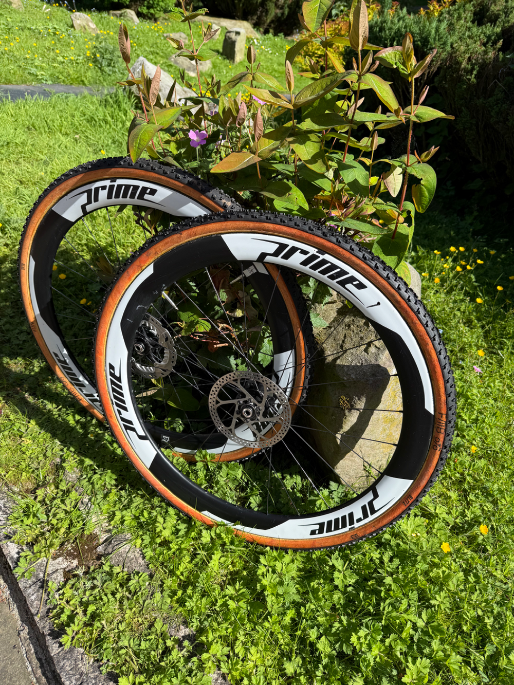 Storck Tix 2020