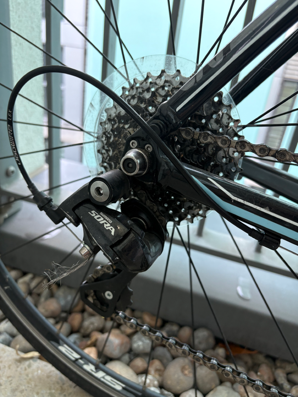 Liv Avail Advanced SL 2016