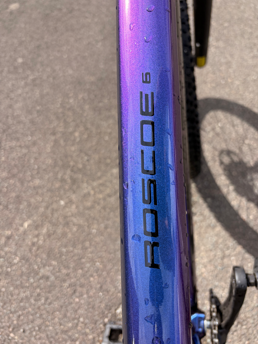Trek Roscoe 6 2022
