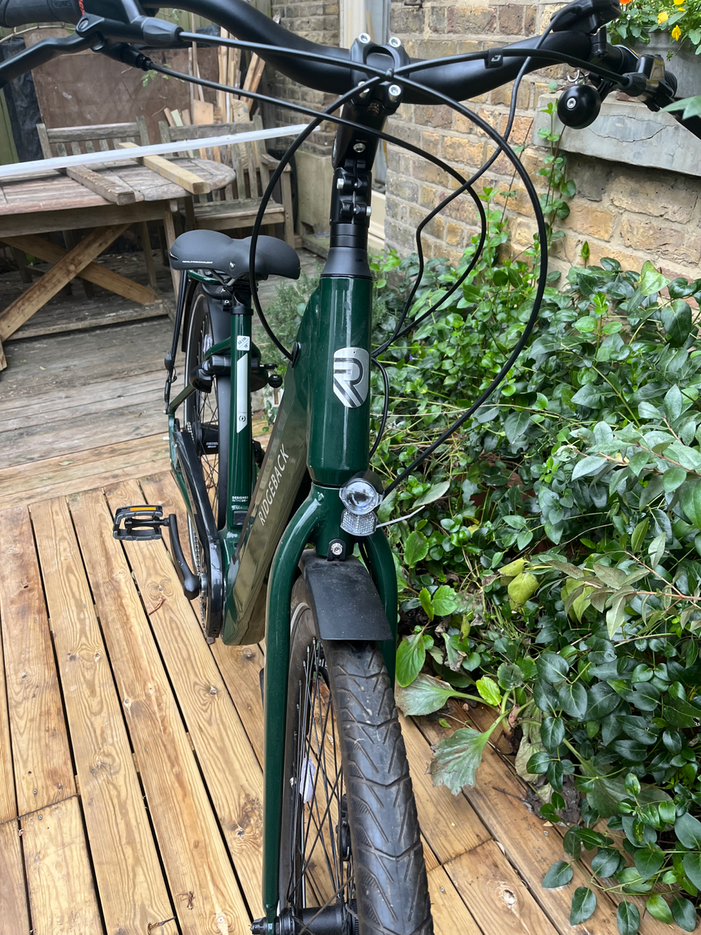 Ridgeback Electron INT 2024