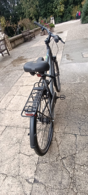 Falter C 4.0 Plus 2020 heavy duty bike’