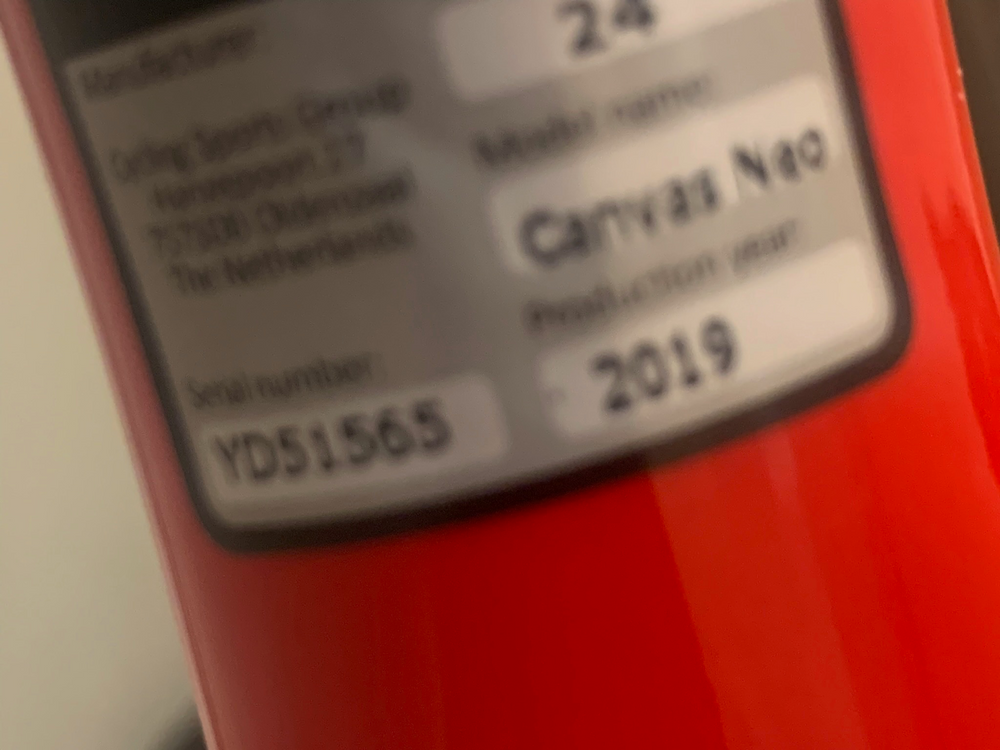 Cannondale Canvas Neo 2 2020