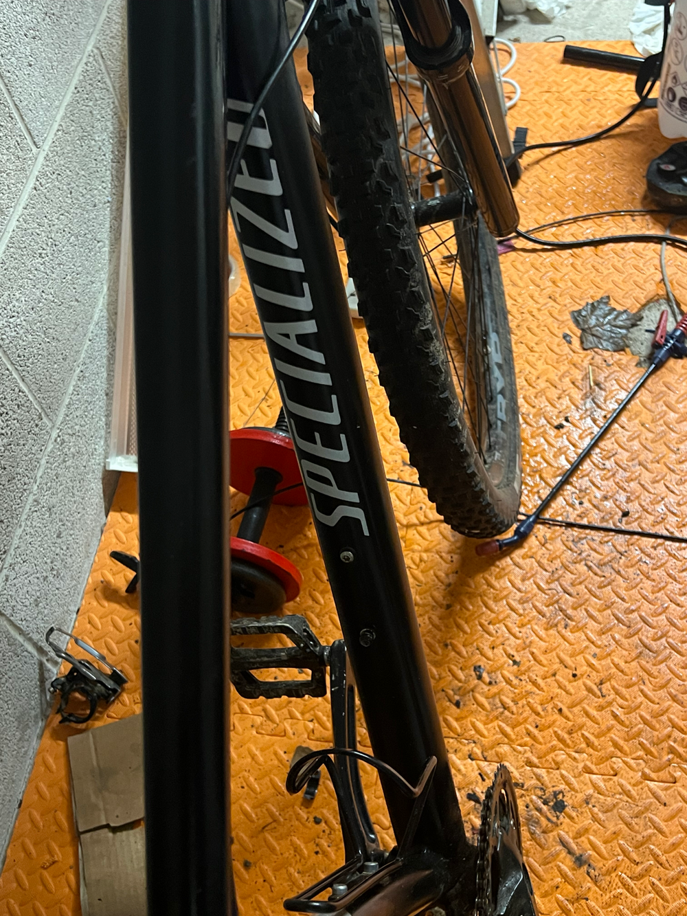 Specialized Rockhopper 2022