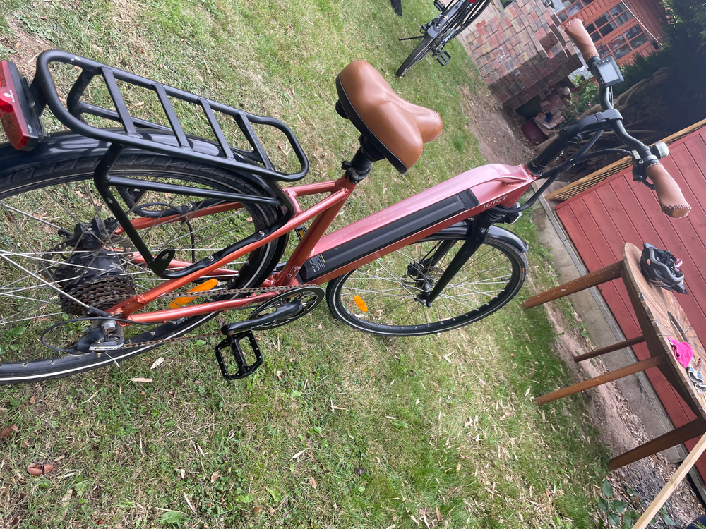 Juicy Roller E-BIKE TQ 73 2019
