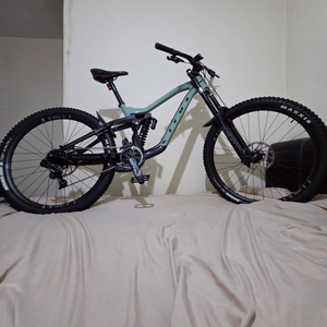 Vitus Dominer 297 2023