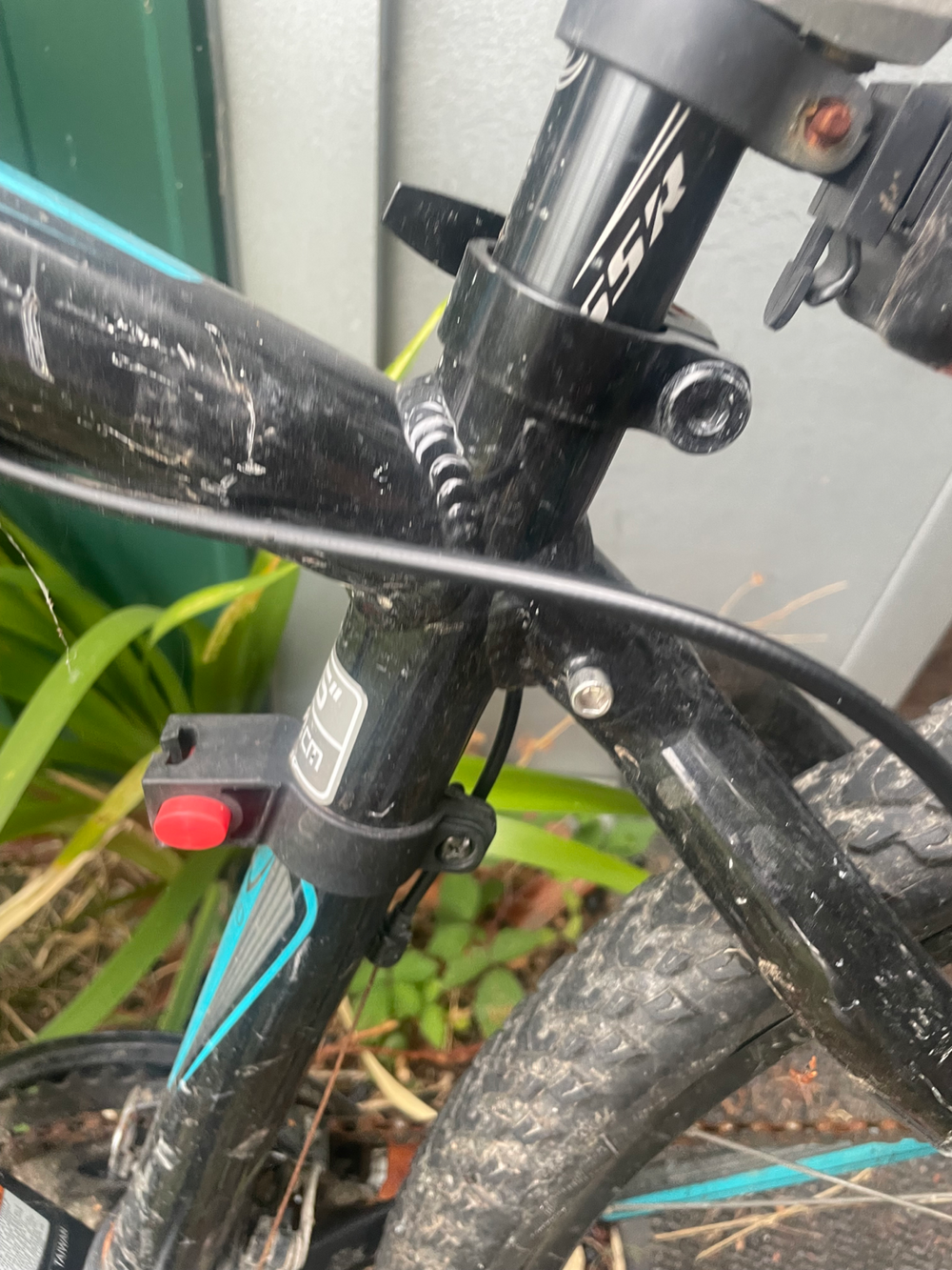 Trek Skye SL 2018
