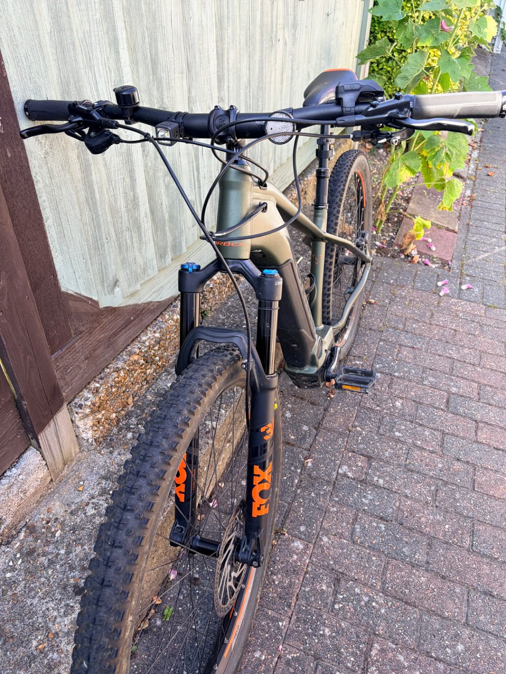 Orbea Wild HT 20 29 2021