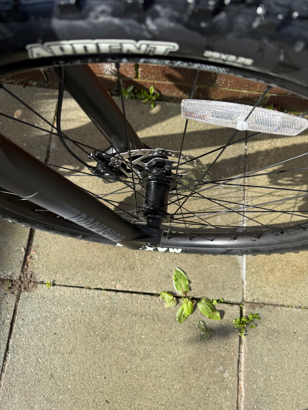 Voodoo Bizango Carbon 2025