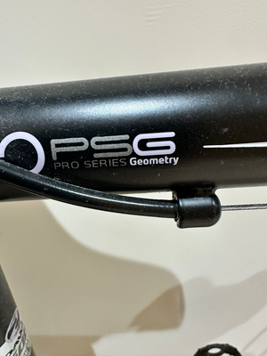 Dawes Giro 300 2010