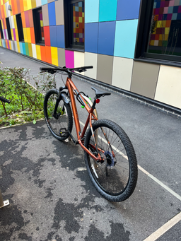 Bergamont Revox 4 bronze 2023