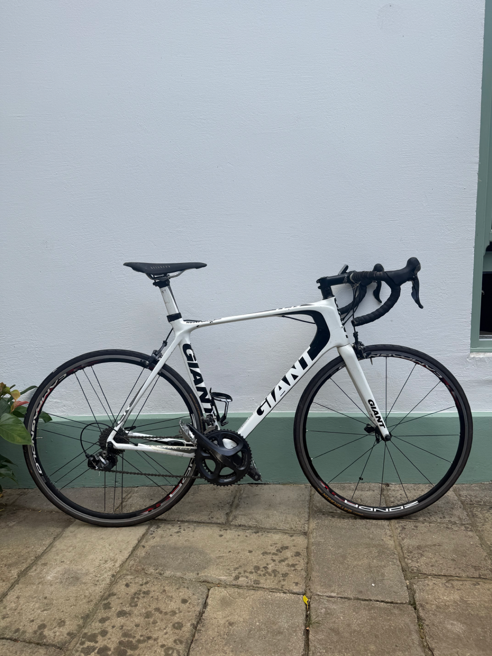 Giant TCR Advanced 2010