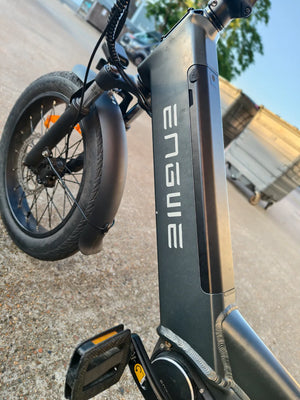 Engwe LE20 e cargo bike 2024