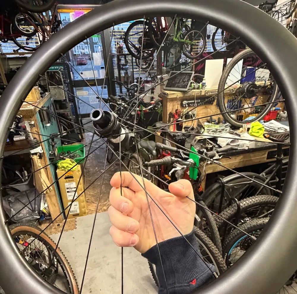 Genesis Fugio 30 2023