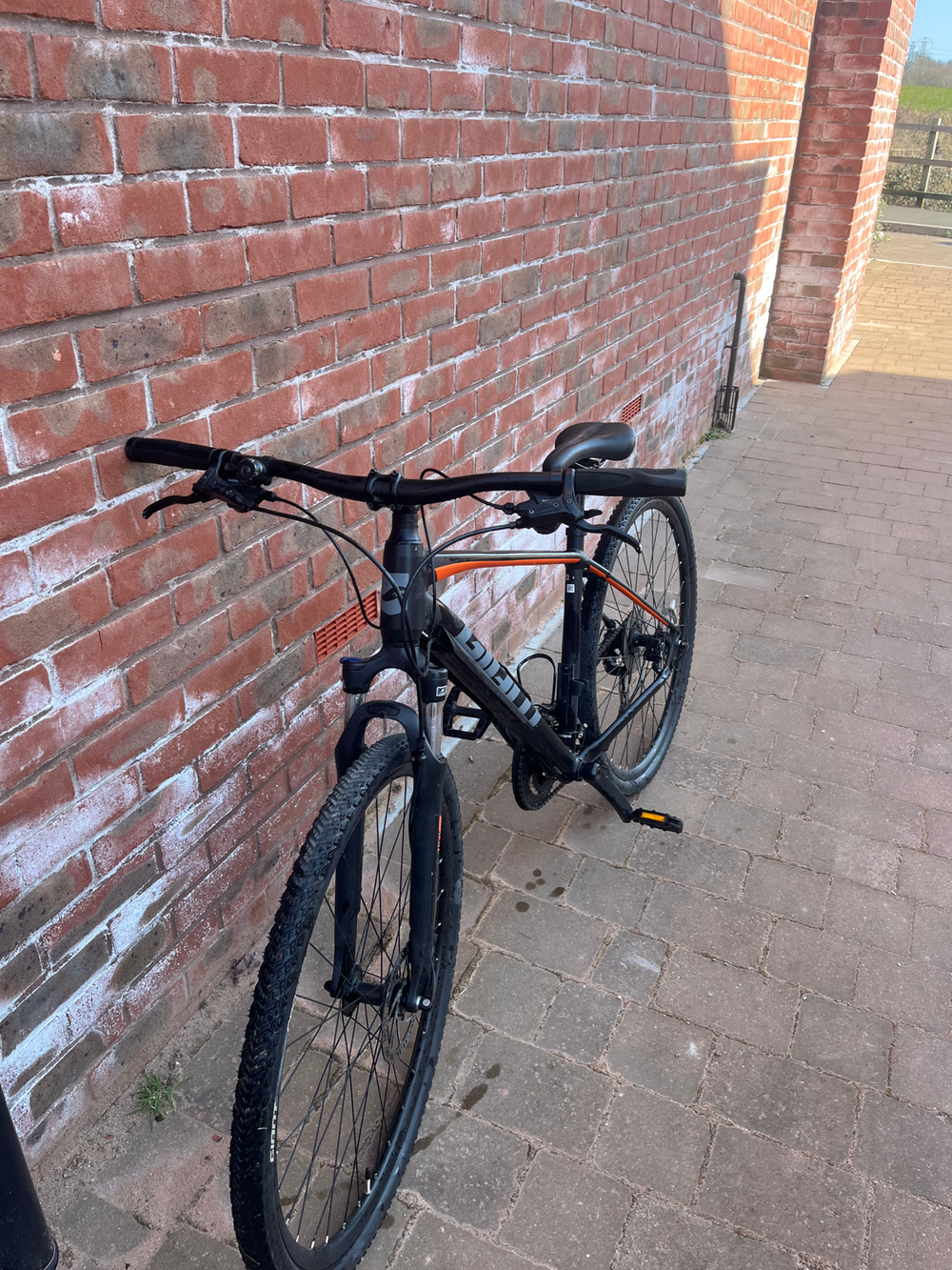 Giant Roam 3 Disc 2020