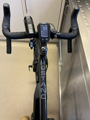 Raleigh Mustang E Comp 2019
