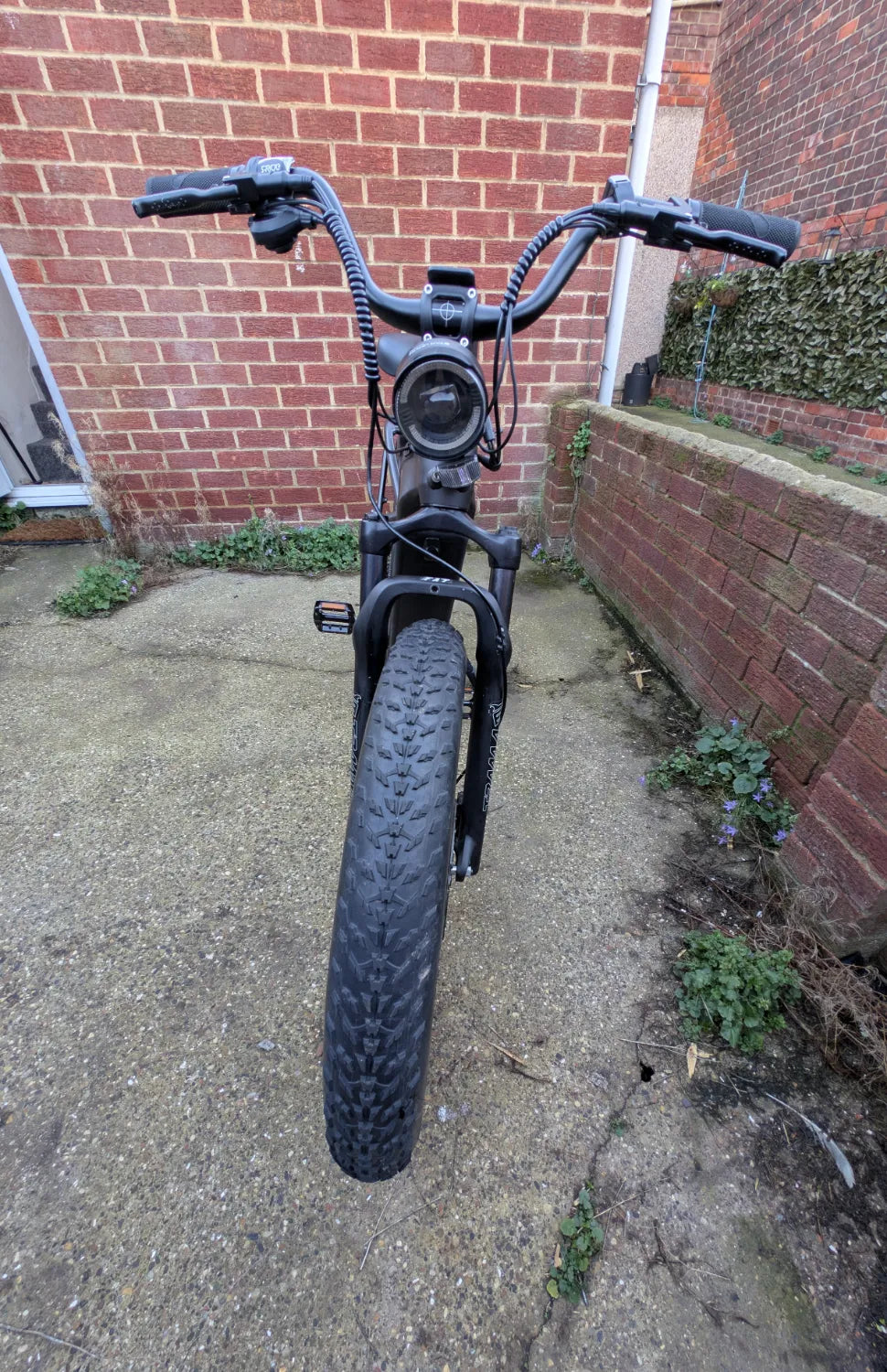 Fiido Titan Fat Tire Touring Ebike 2024