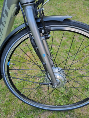 Giant Ease-E 2016