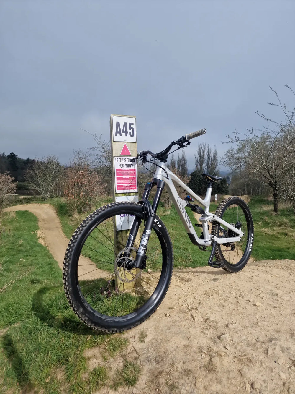 Canyon Torque 5 (Mullet) 2025