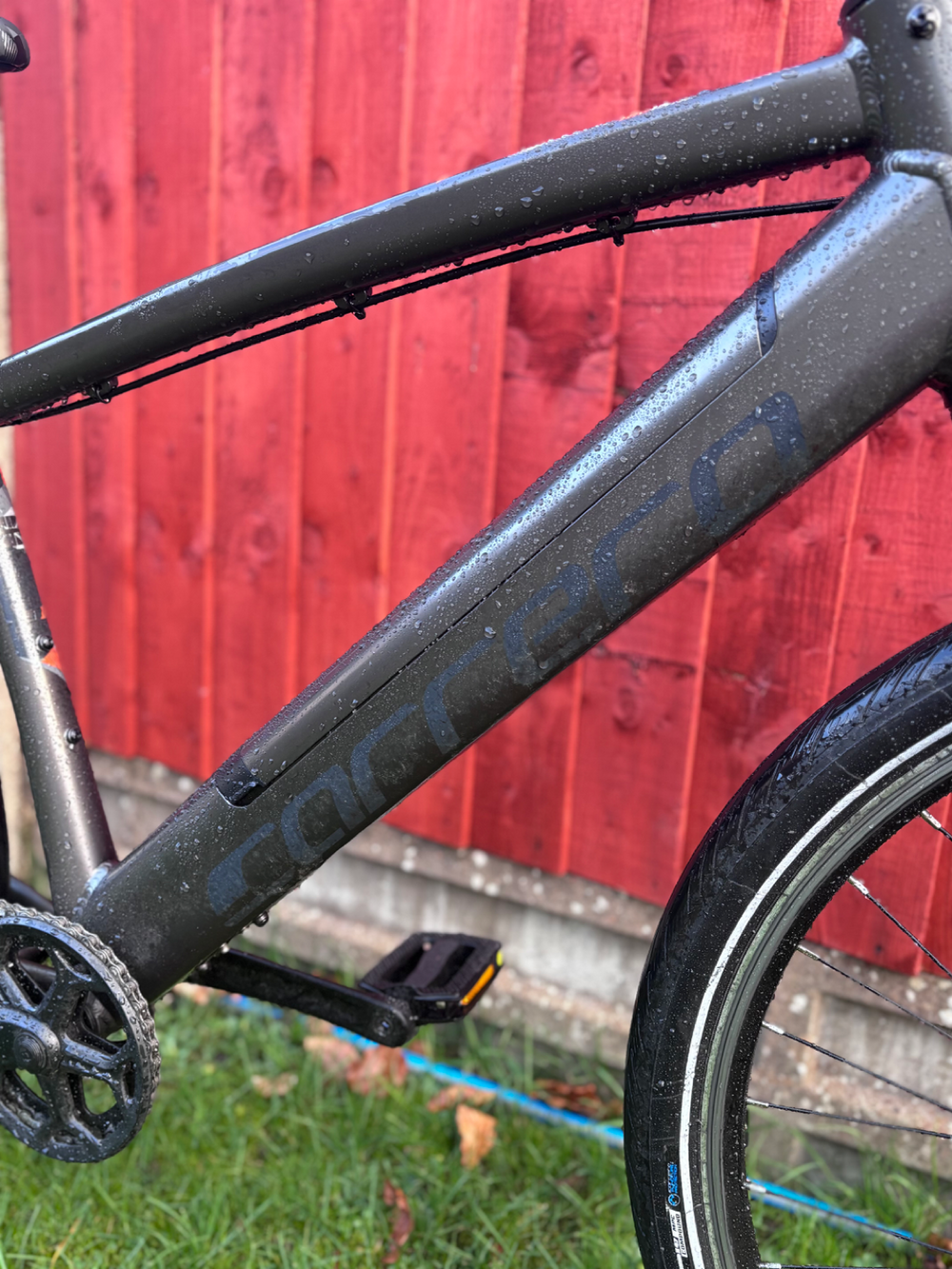 Carrera impel im 2024