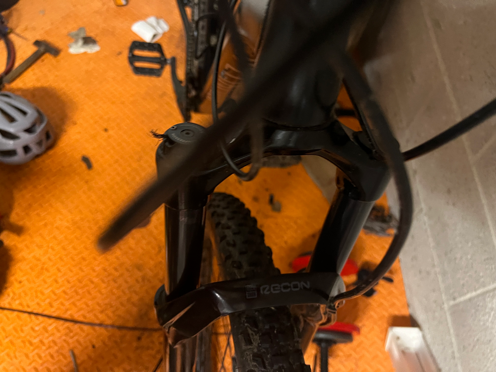 Specialized Rockhopper 2022