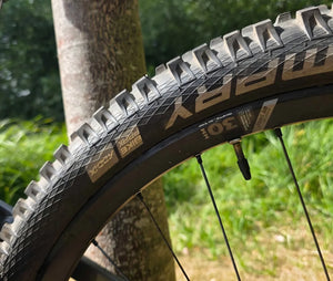 Vitus Escarpe 29 CRX Mountain 2019