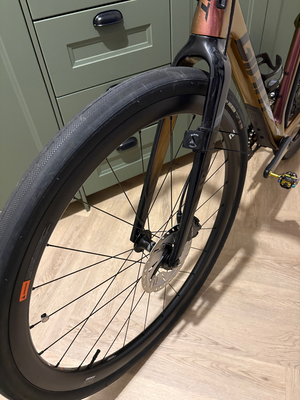 Giant Revolt Advanced Pro 1 2021