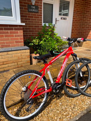 Specialized Rockhopper 26 2010
