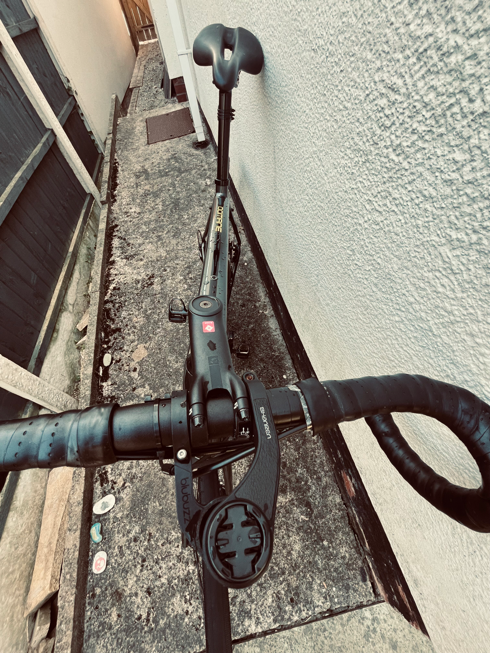 Trek Domane AL 3 Disc 2021