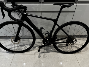 Canyon Endurace CF SL Disc 7.0 2019