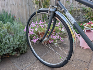Handsome Cycles She Devil 2018