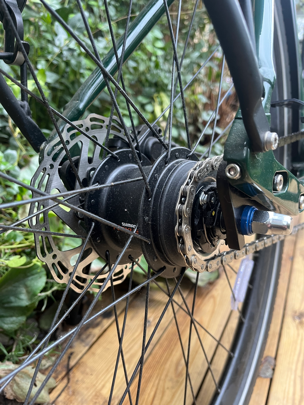 Ridgeback Electron INT 2024