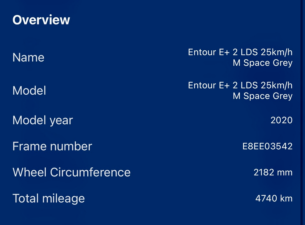 Giant Entour E+ 1 Low Step Through 2020
