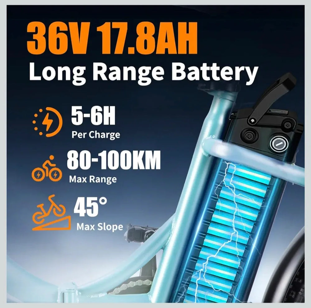 TWOFIS Electric Bicycle  2025