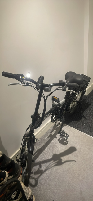 Zinc 20 Inch Wheel Size Eco Pro Unisex 36V Electric Bike