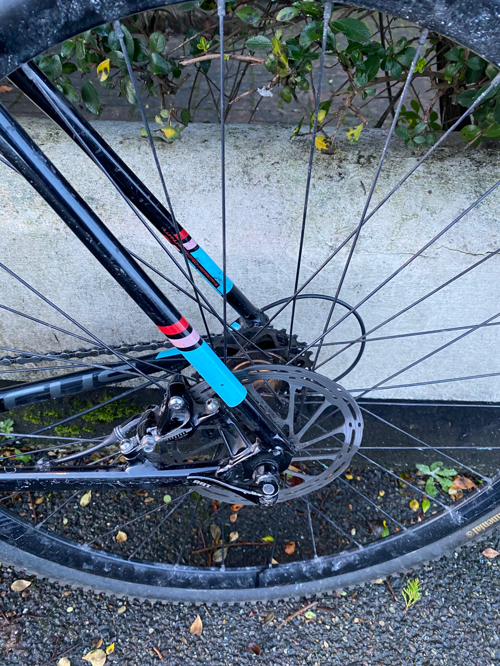 Focus MARES APEX 1 2018