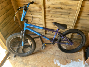 Mongoose Legion 2019