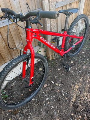 Orbea MX 24 2019